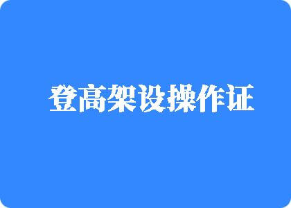 插湿想要艹艹视频登高架设操作证